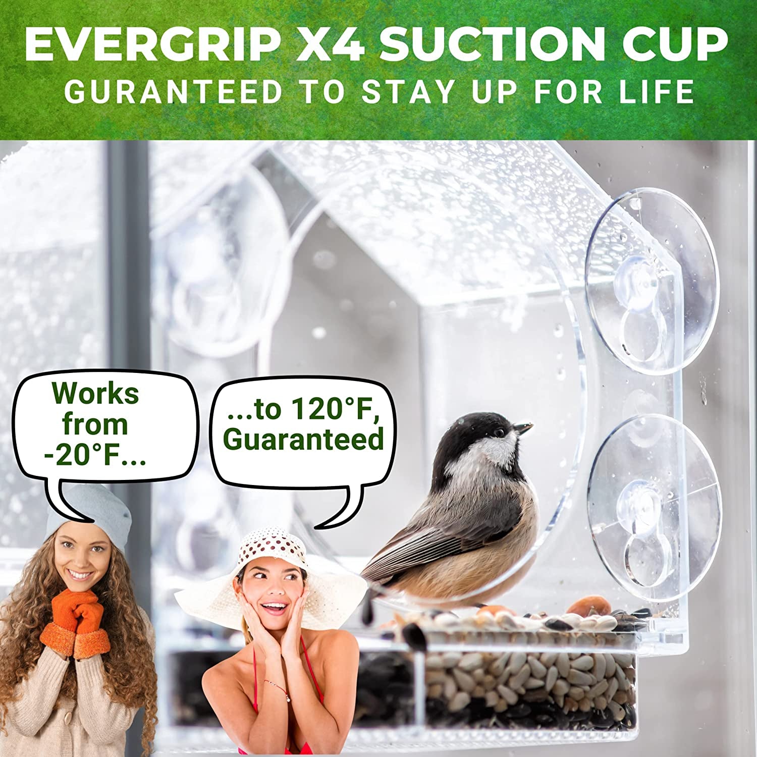 Transparent Window Bird Feeder