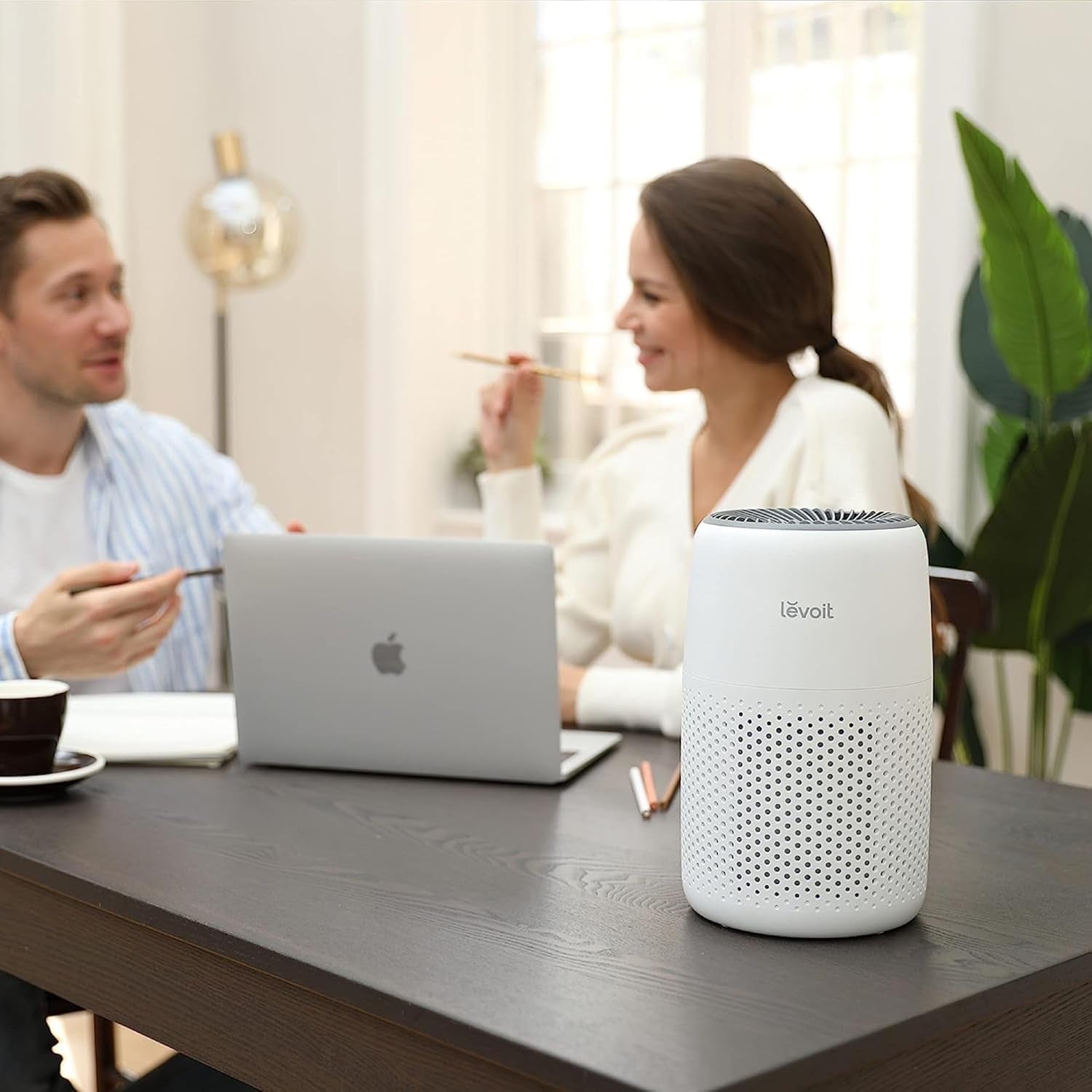 LEVOIT Air Purifier