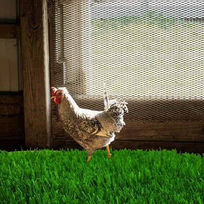 Chicken Nesting Pads