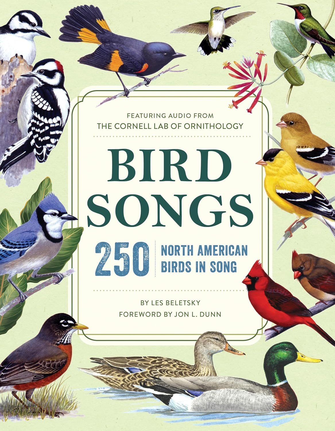 Bird Songs: 250 North American Birds