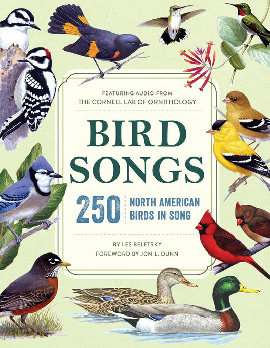 Bird Songs: 250 North American Birds