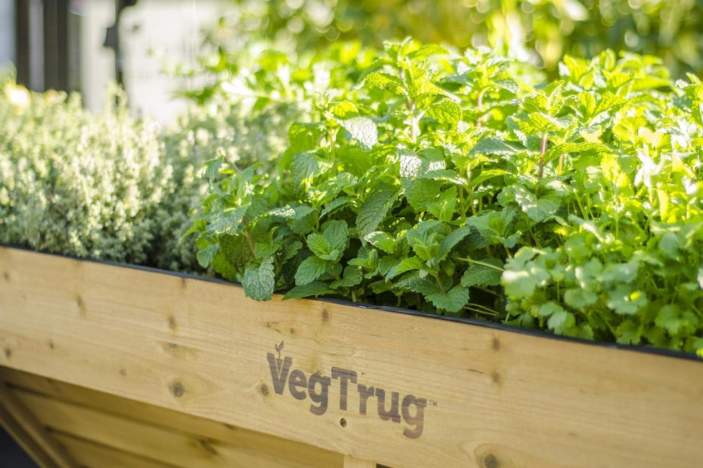 VEGTRUG Large Raised Planter