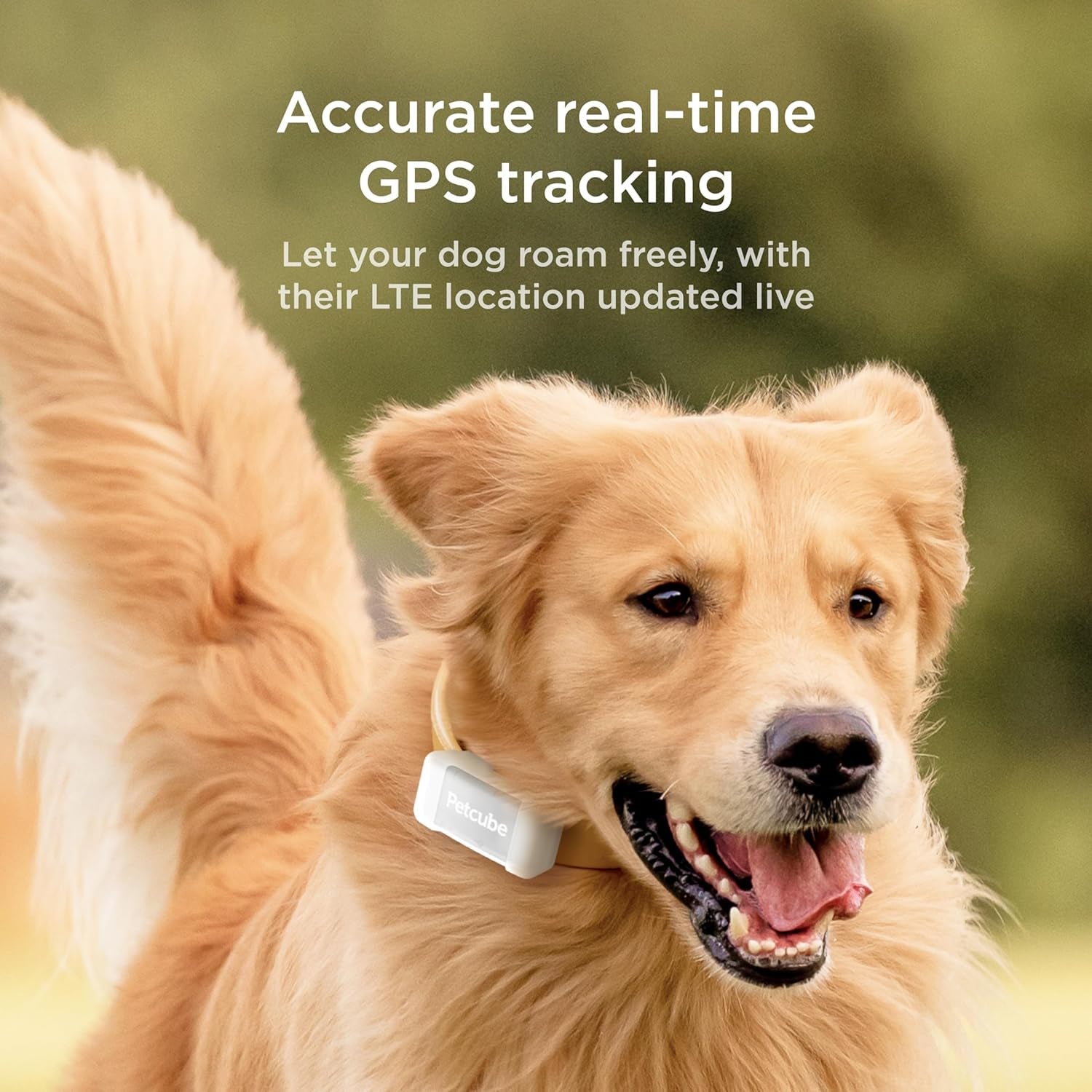 PETCUBE GPS Tracker for Dogs 