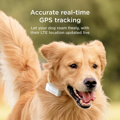 PETCUBE GPS Tracker for Dogs 