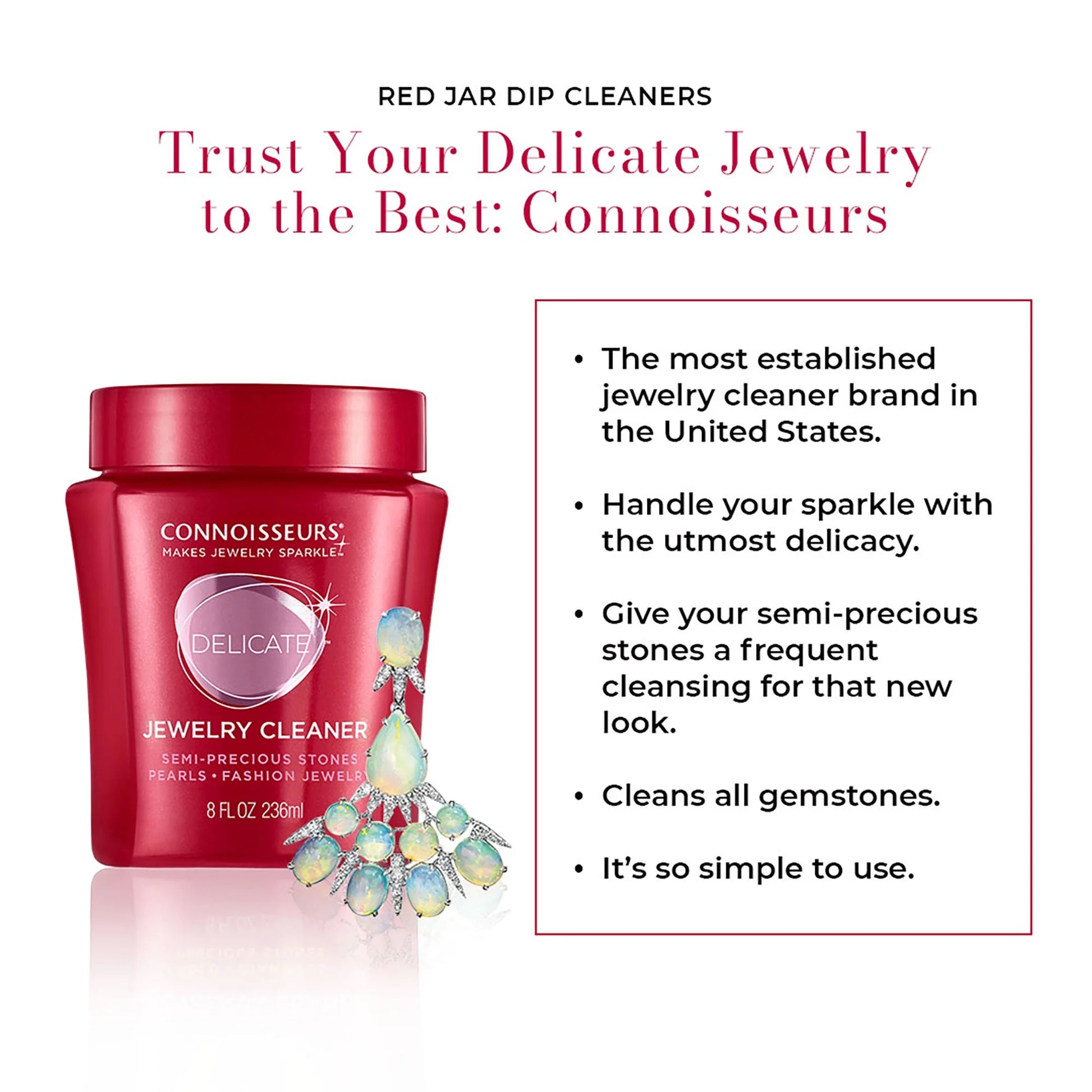 Connoisseur'S Jewelry Cleaner