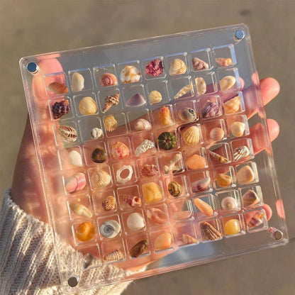 Acrylic Magnetic Seashell Display Box (36/64) Grids