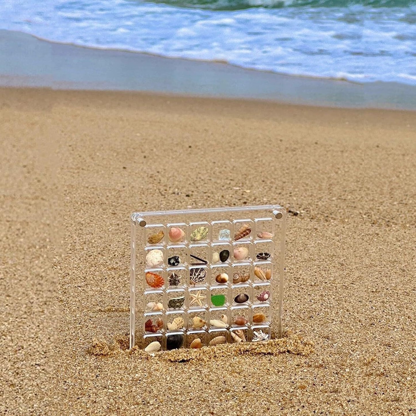 Acrylic Magnetic Seashell Display Box (36/64) Grids