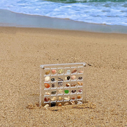 Acrylic Magnetic Seashell Display Box (36/64) Grids