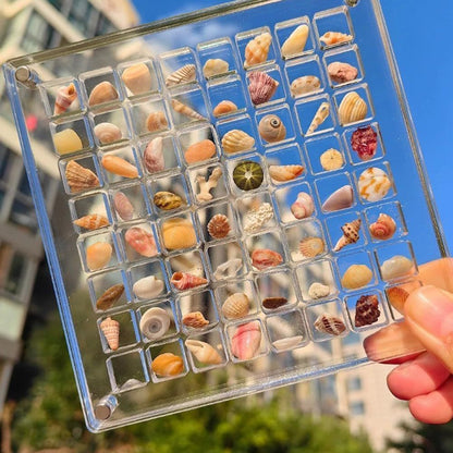 Acrylic Magnetic Seashell Display Box (36/64) Grids