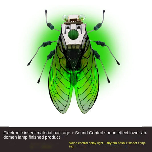 STEAM DIY Robotic Insect