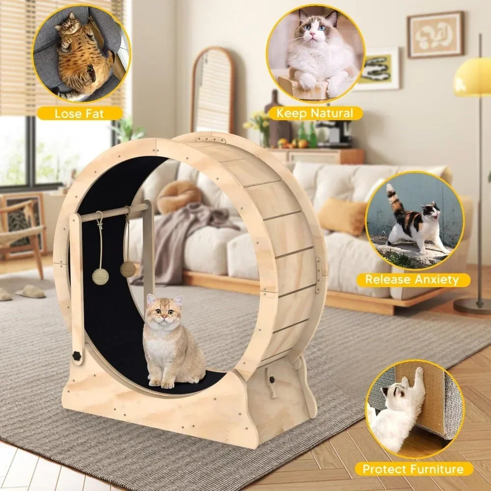 Cat Running Wheel Treadmill