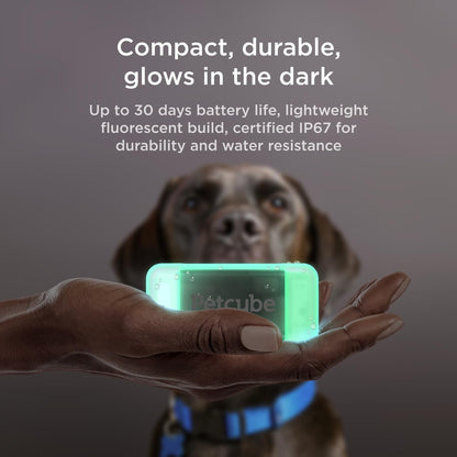 PETCUBE GPS Tracker for Dogs 