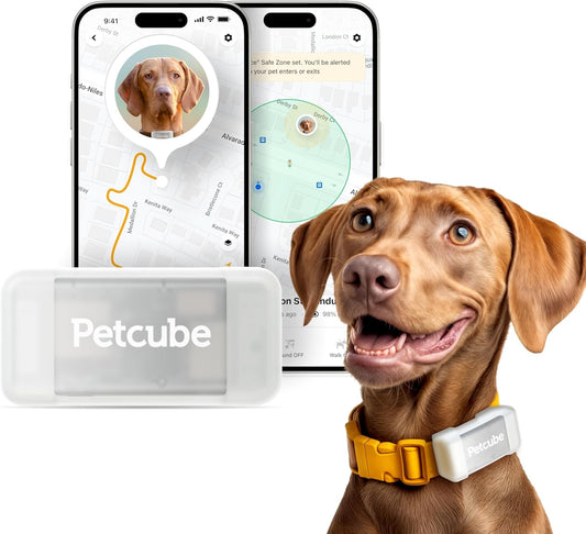 PETCUBE GPS Tracker for Dogs 