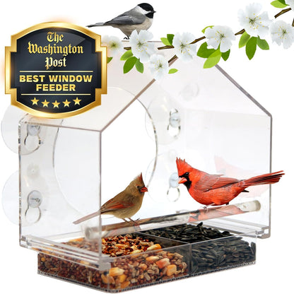 Transparent Window Bird Feeder