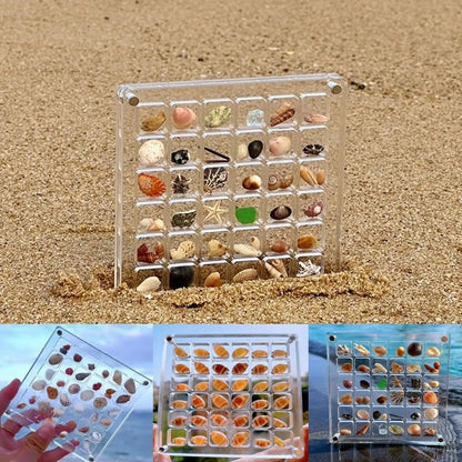 Acrylic Magnetic Seashell Display Box (36/64) Grids