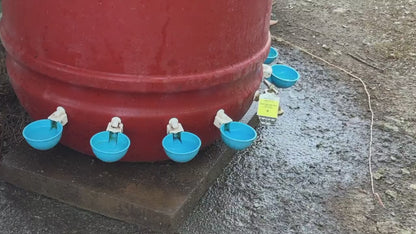 5-Pack Automatic Chicken Waterer Cups